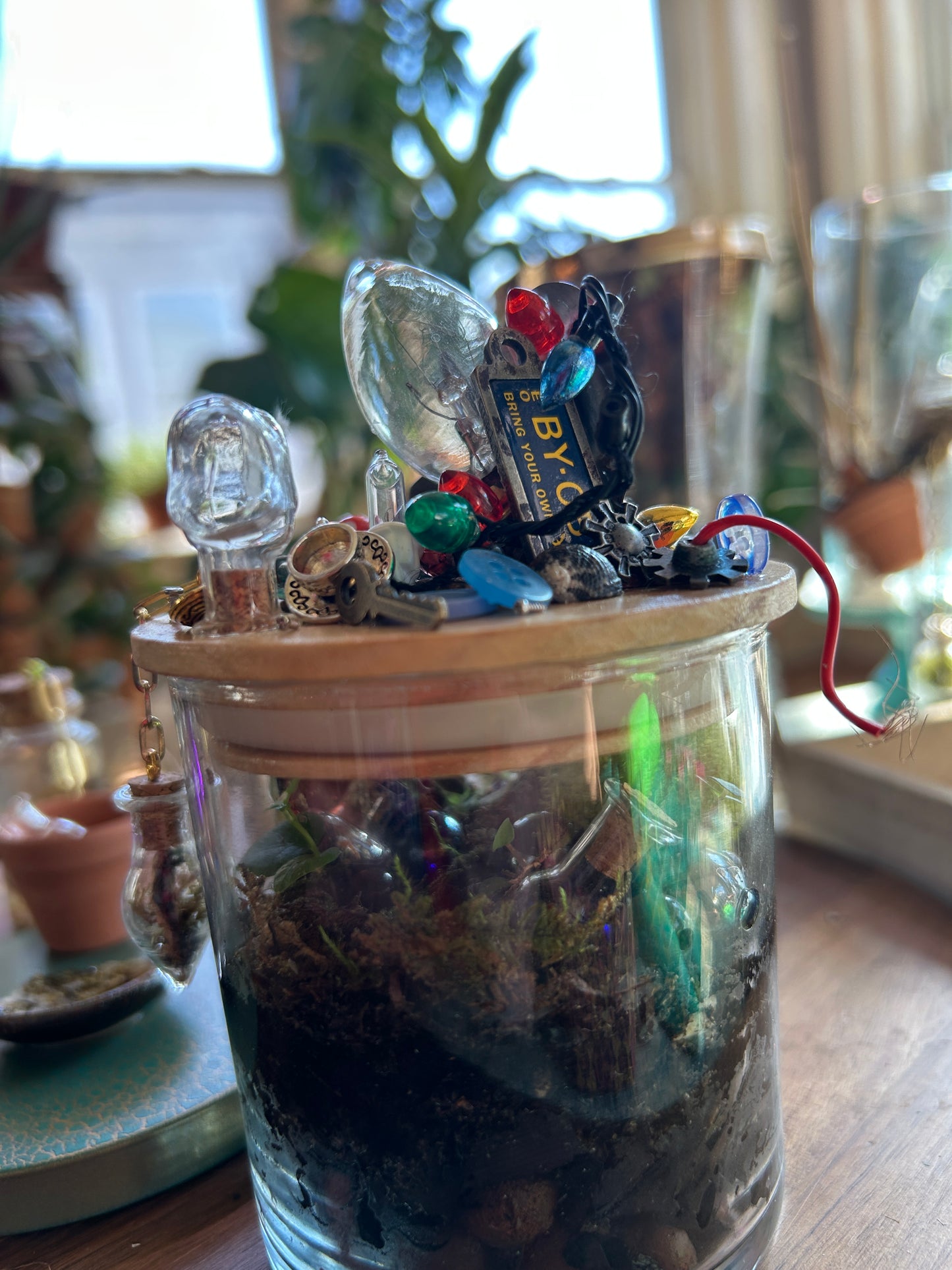 Handmade Closed Cylindrical Terrarium | ‘I Spy Vol. IV’