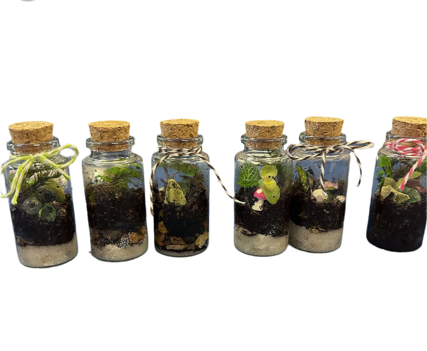 Microterrarium Workshop