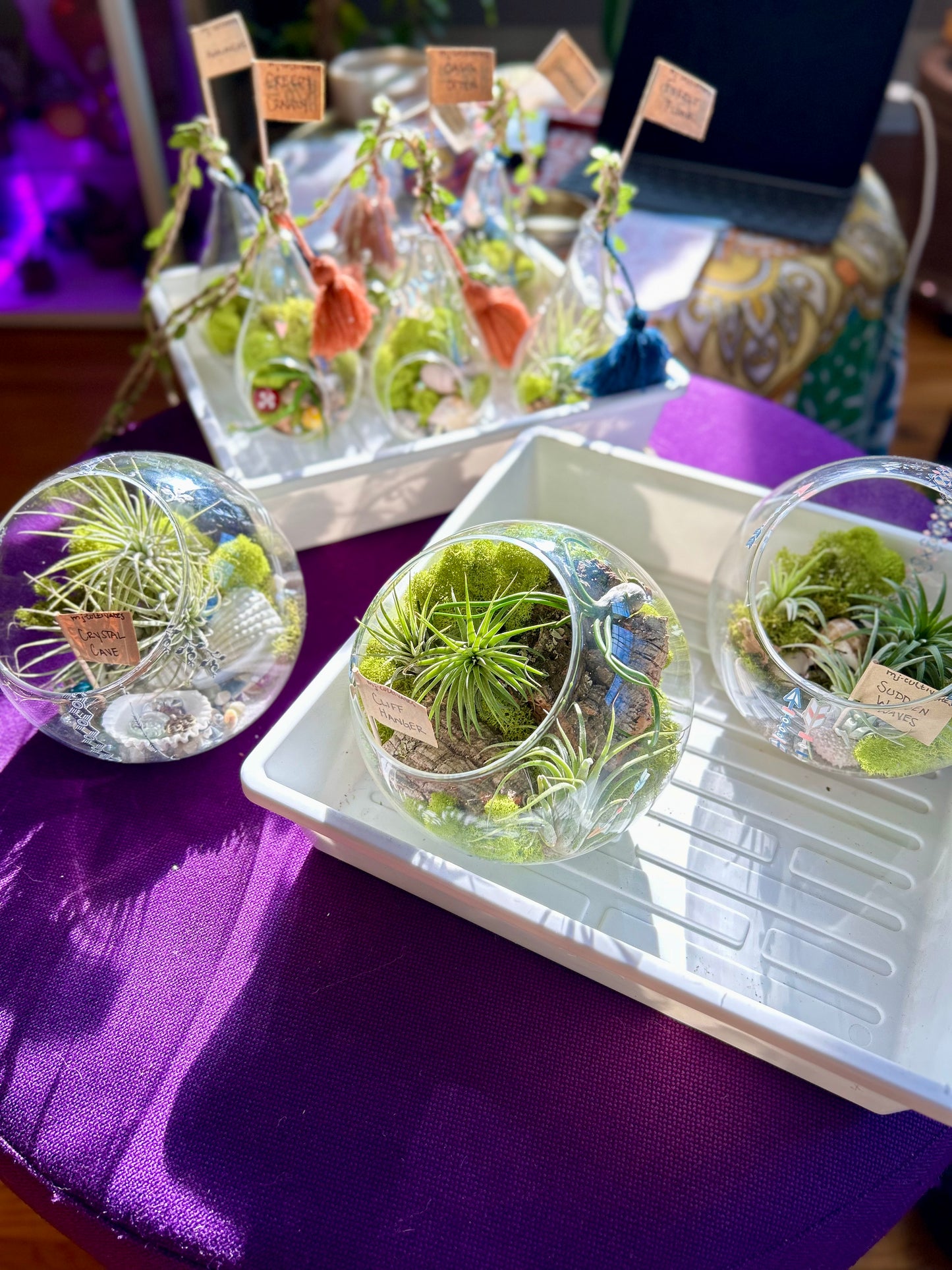 Hand-Curated Glass Sphere Terrarium