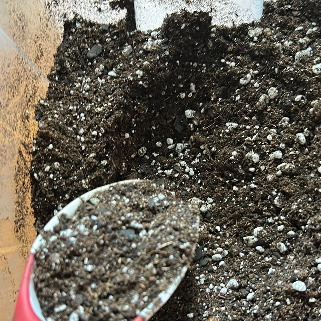 succulent tits Tits & Grit