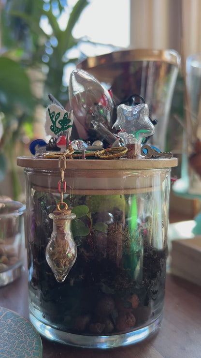 Handmade Closed Cylindrical Terrarium | ‘I Spy Vol. IV’